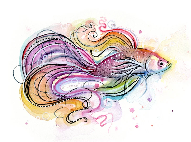 Betta Fish Watercolor