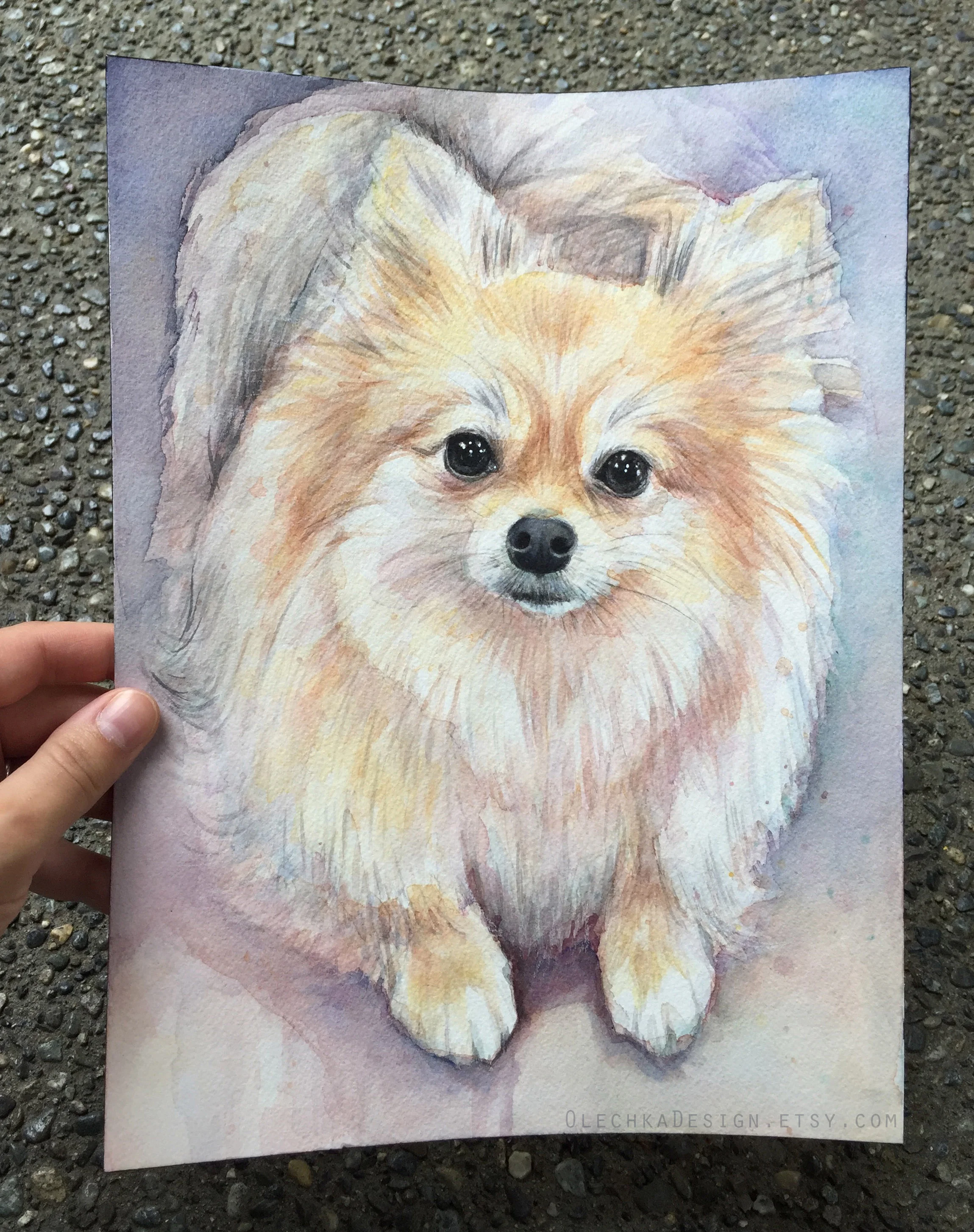 pom-watercolor-painting.jpg