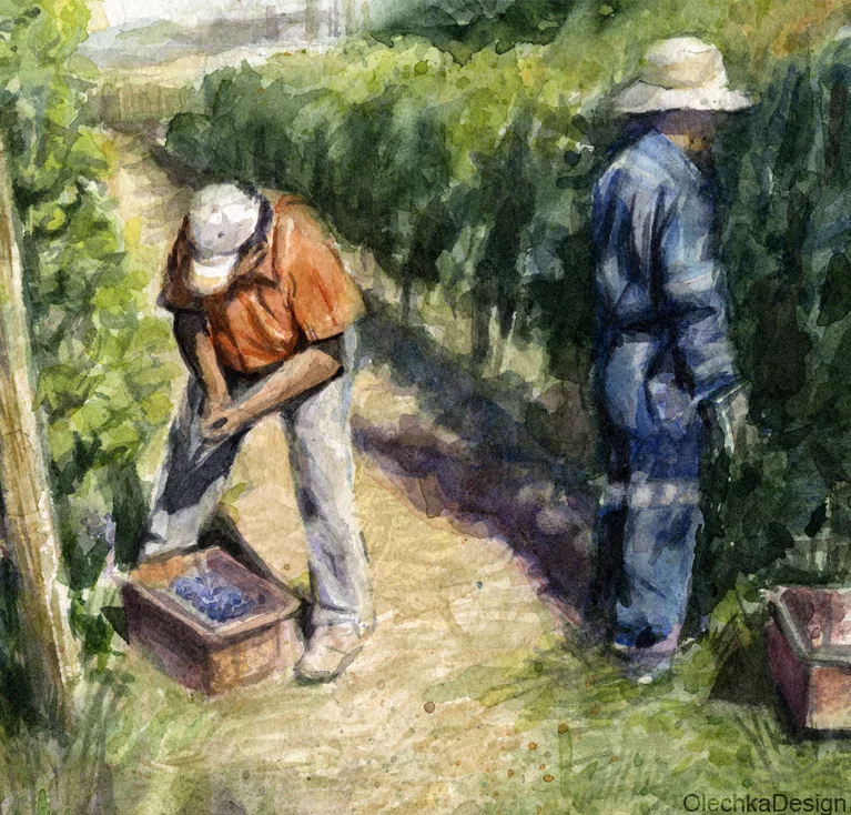 vineyard painting