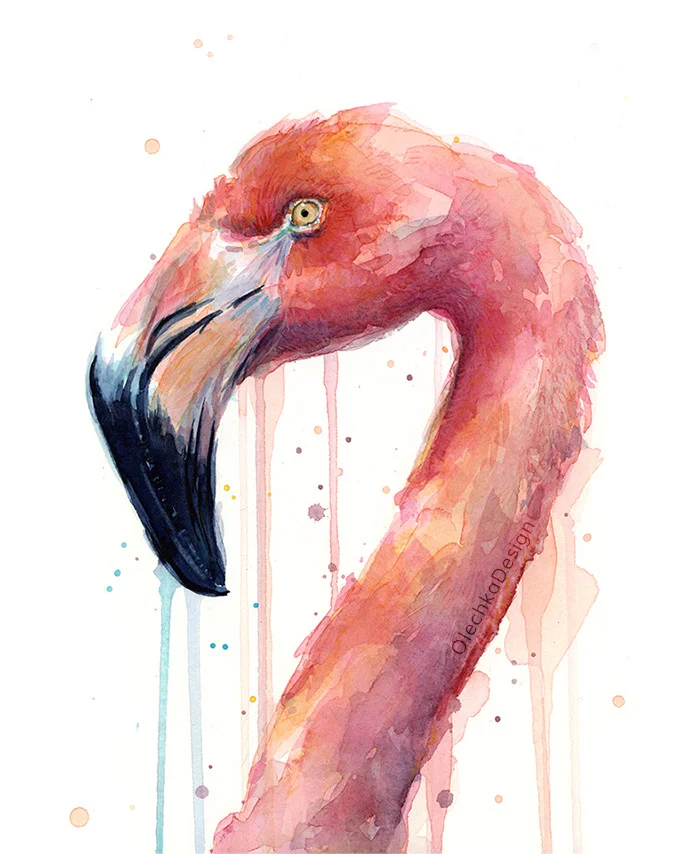 Watercolor flamingo