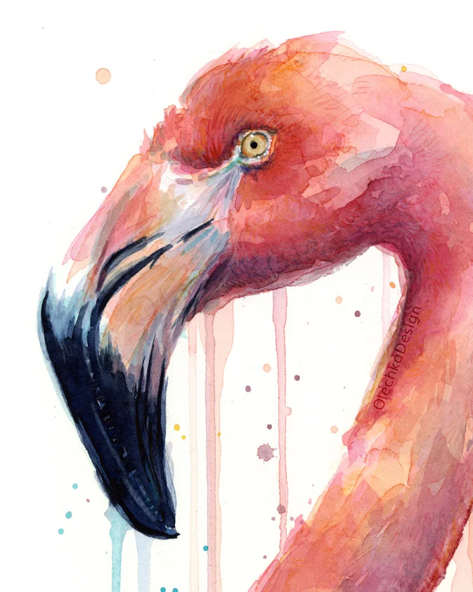 Flamingo watercolor