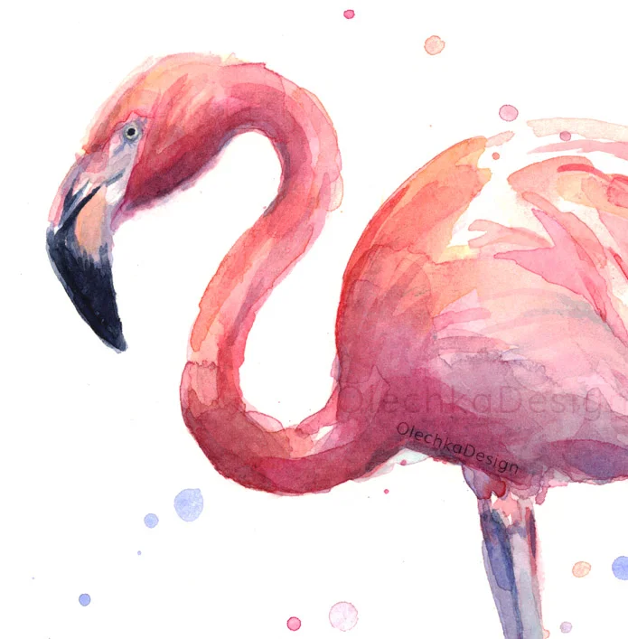 Flamingo-watercolor-pink-bird-detail.jpg