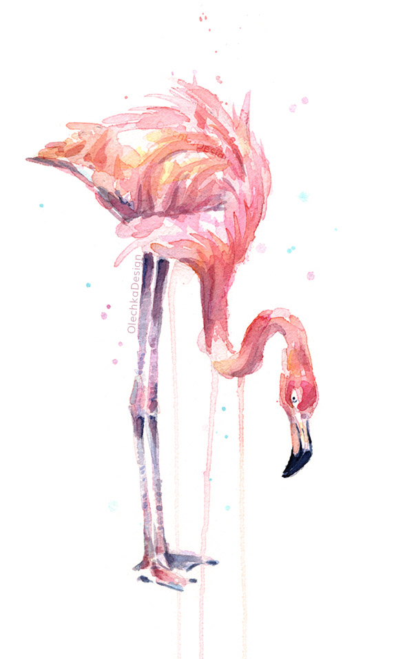 flamingo painting illustration