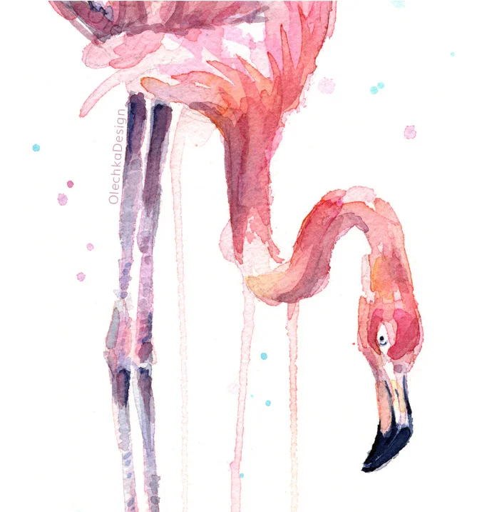 watercolor painting of flamingo