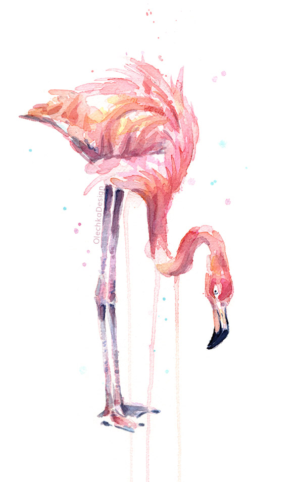flamingo watercolor
