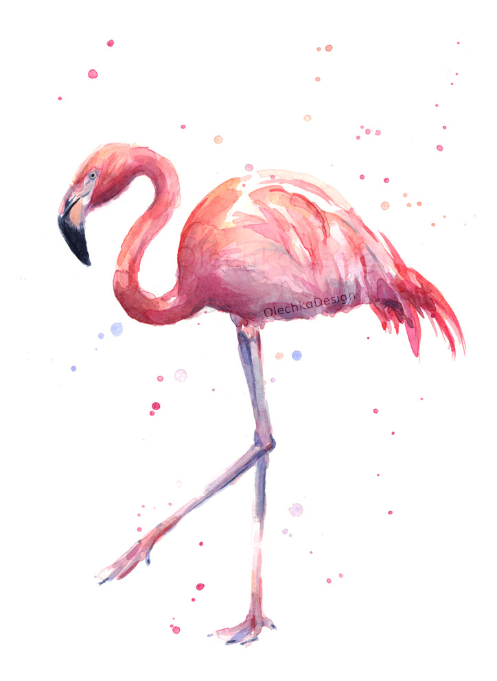 flamingo illustration watercolor