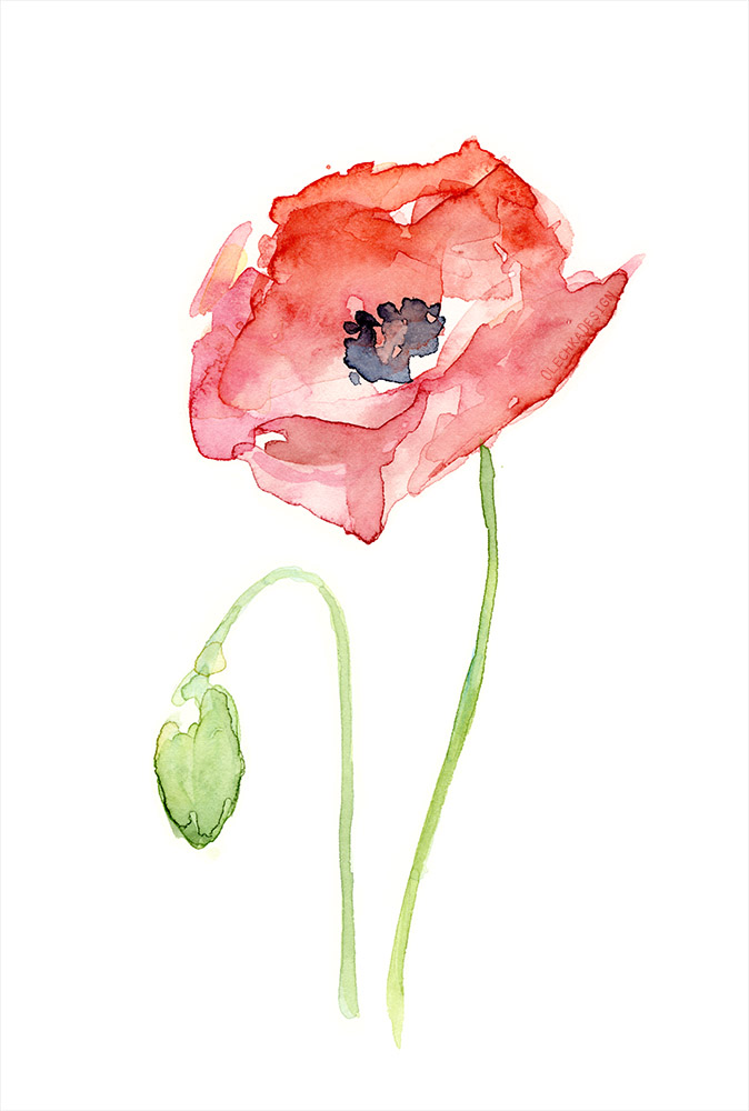 red poppy painting