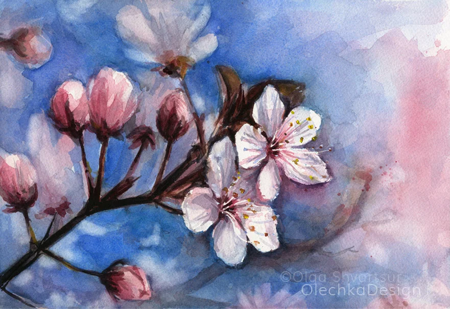 watercolor cherry blossoms