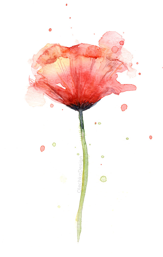 red poppy watercolor