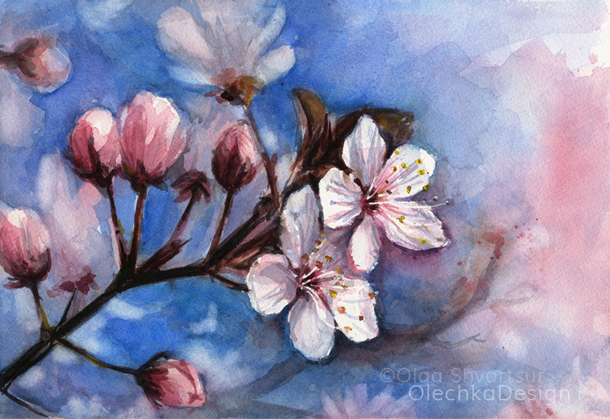 Cherry Blossoms Watercolor