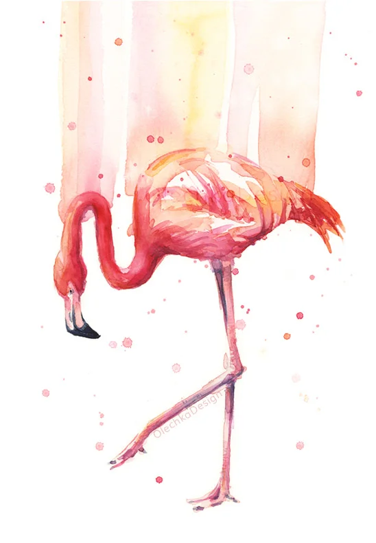 Flamingo Rain