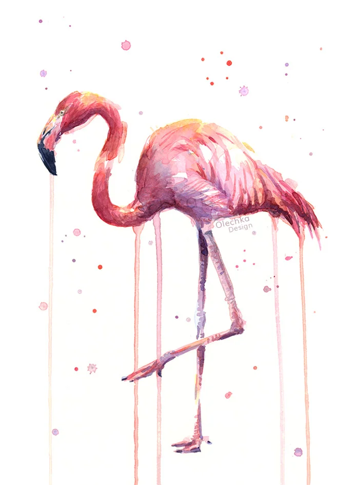 watercolor flamingo