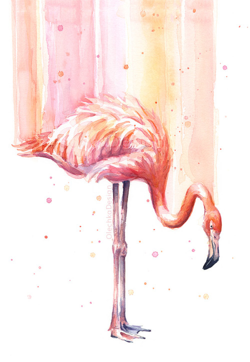 Flamingo Art-Olechka Design