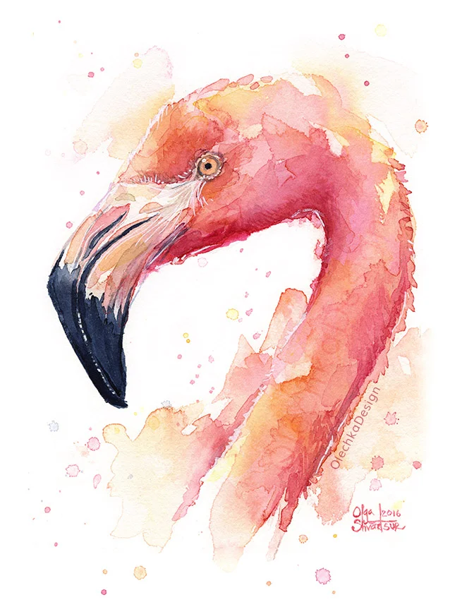Pink Flamingo Watercolor