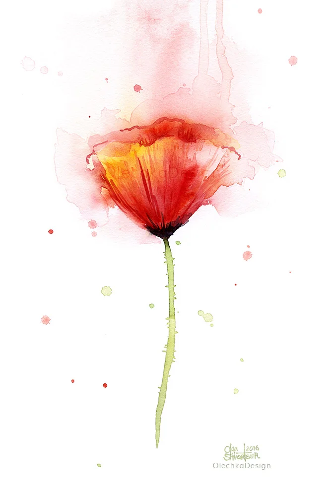 red poppy watercolor