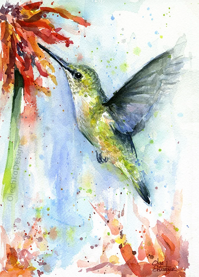 hummingbird and red flower watercolor