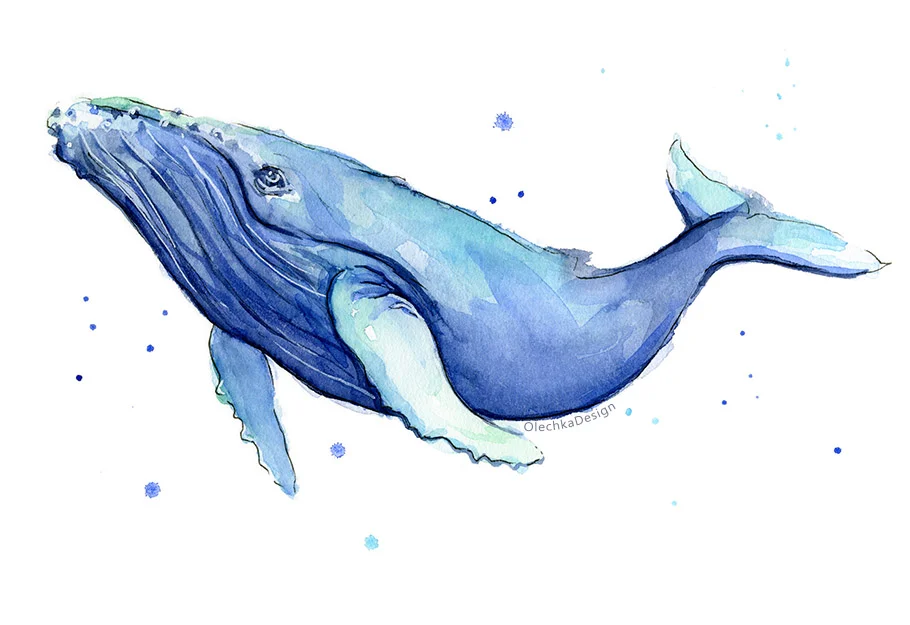 humpback whale painting