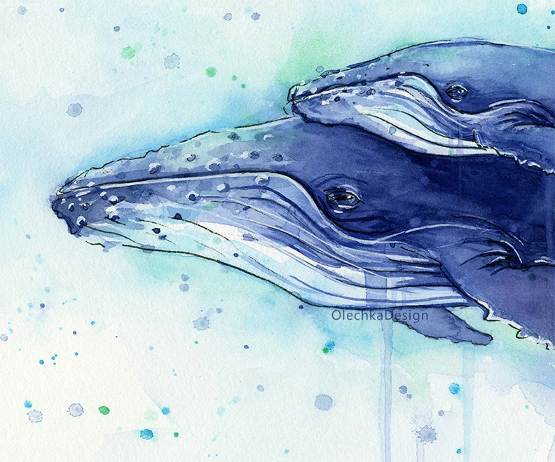 humpback whale watercolor