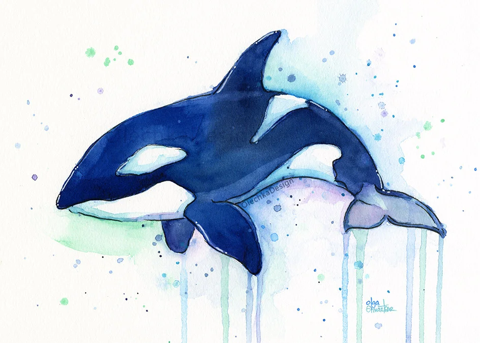orca killer whale painting