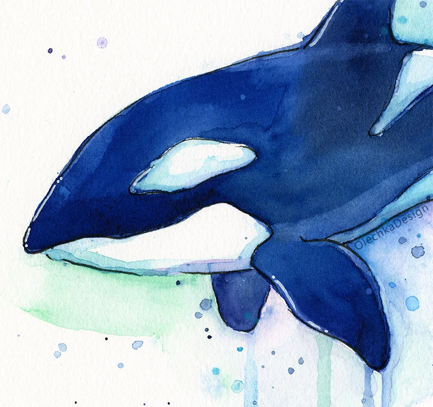 killer whale painting