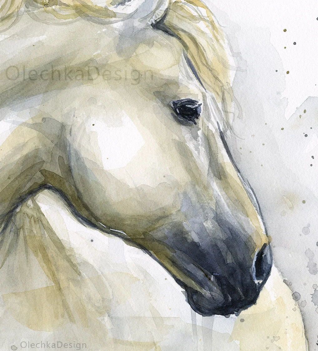 white horse watercolor painting