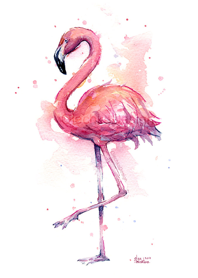 flamingo watercolor painting