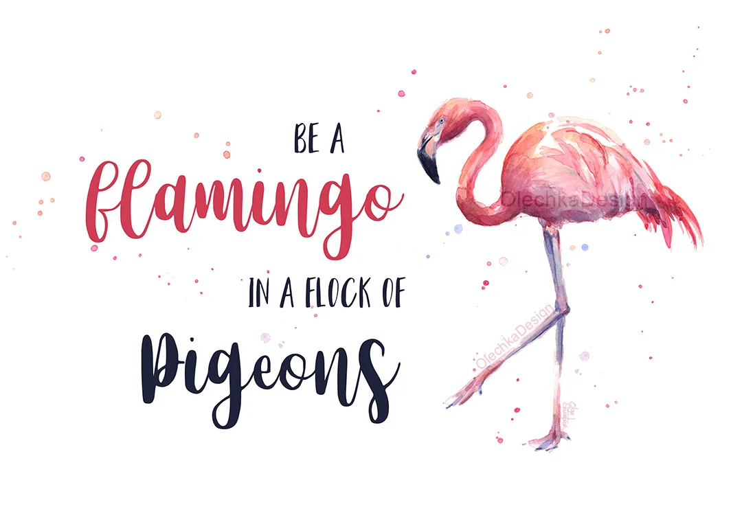 be a flamingo