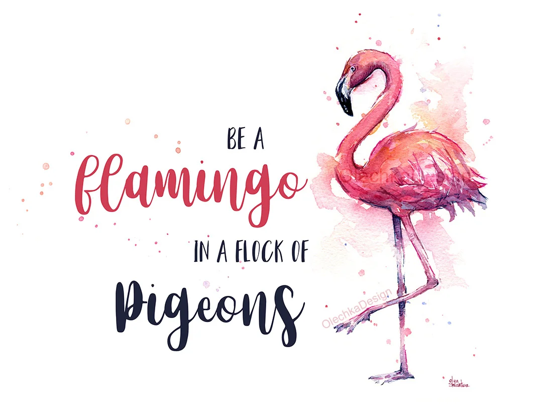 be a flamingo in a flock of pigeons