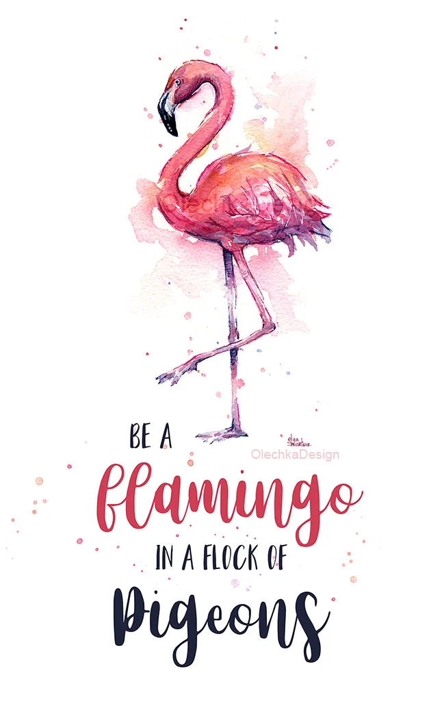 be a flamingo in a flock of pigeons
