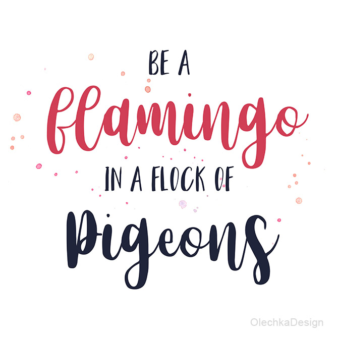 be a flamingo in a flock of pigeons
