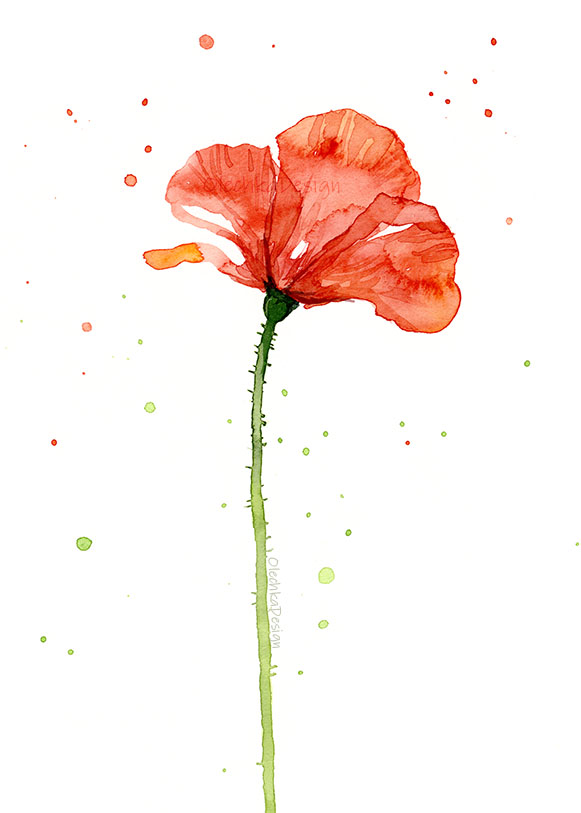 poppy-flower-painting.jpg