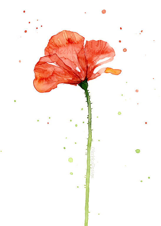 poppy-flower-red-watercolor-painting.jpg