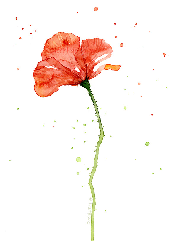 poppy-red-watercolor-painting.jpg