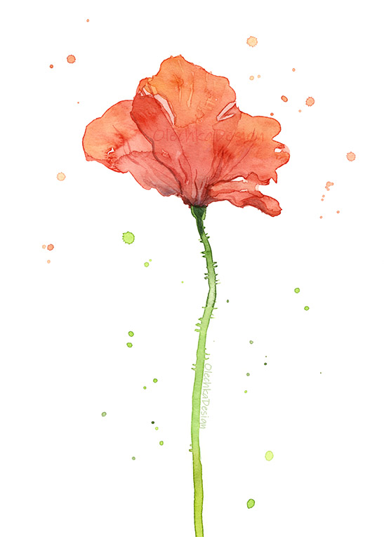 poppy-flower-red-watercolor.jpg