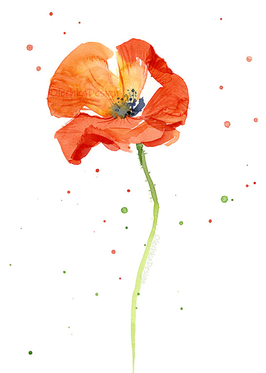 poppy-painting-watercolor.jpg
