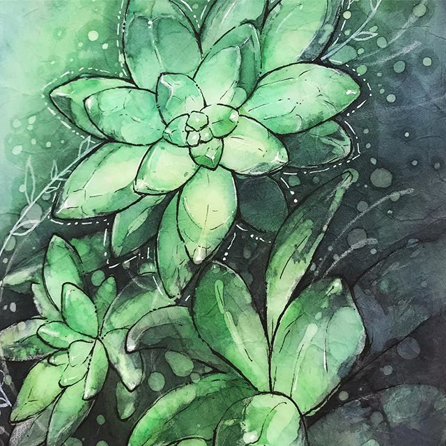 Watercolor on rice paper, from a workshop at @oregonsocietyofartists with Kristie Mooney
.
.
.
#succulents #watercolor #batik #ricepaper #art #painting #illustrations #watercolor_daily #olechkadesign #ricepaper #oregonsocietyofartists #olgashvartsur