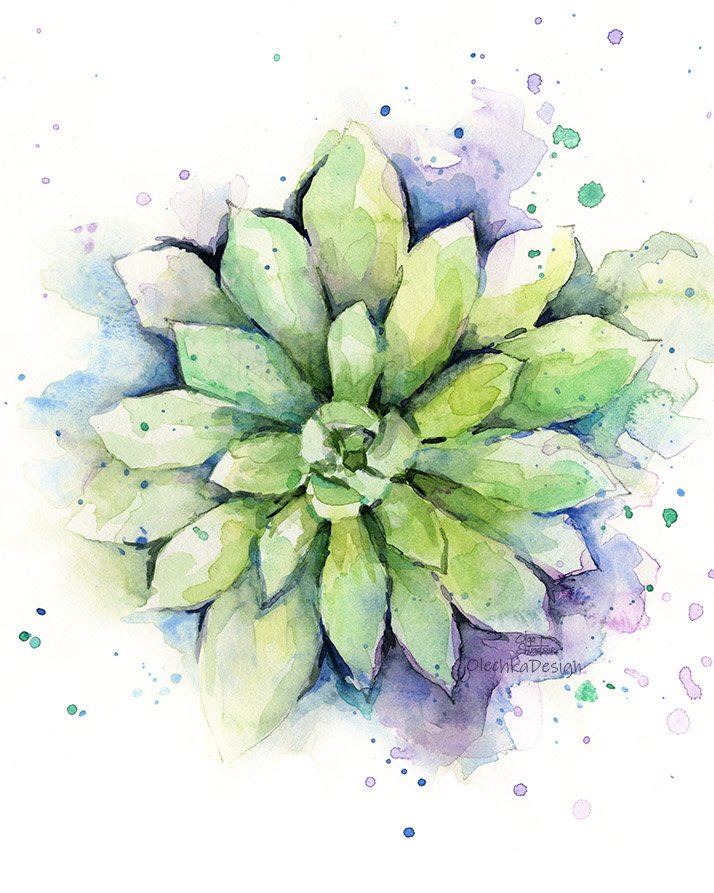 Succulent-watercolor-art.jpg