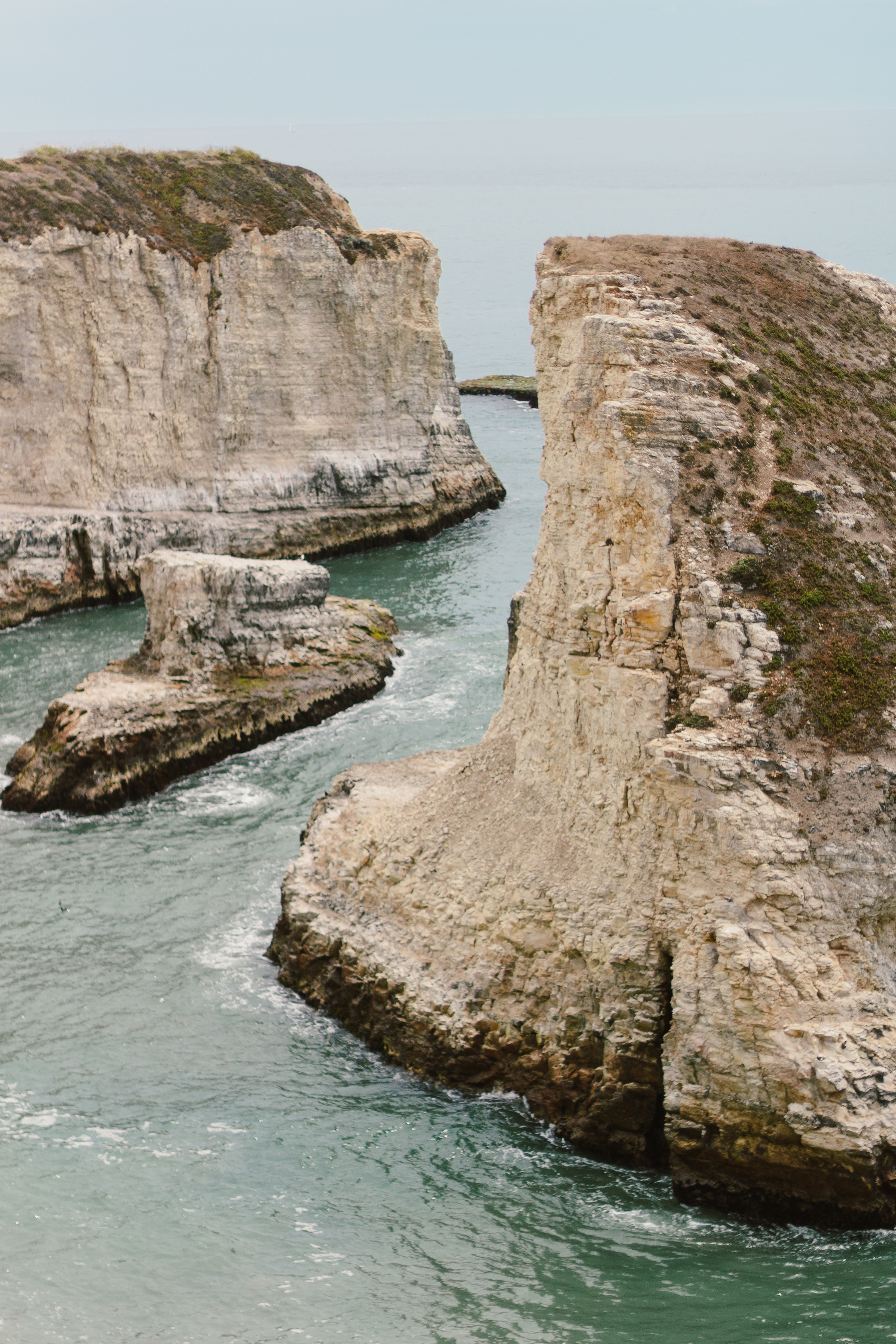 Shark Fin Cove by Catherine Alyce
