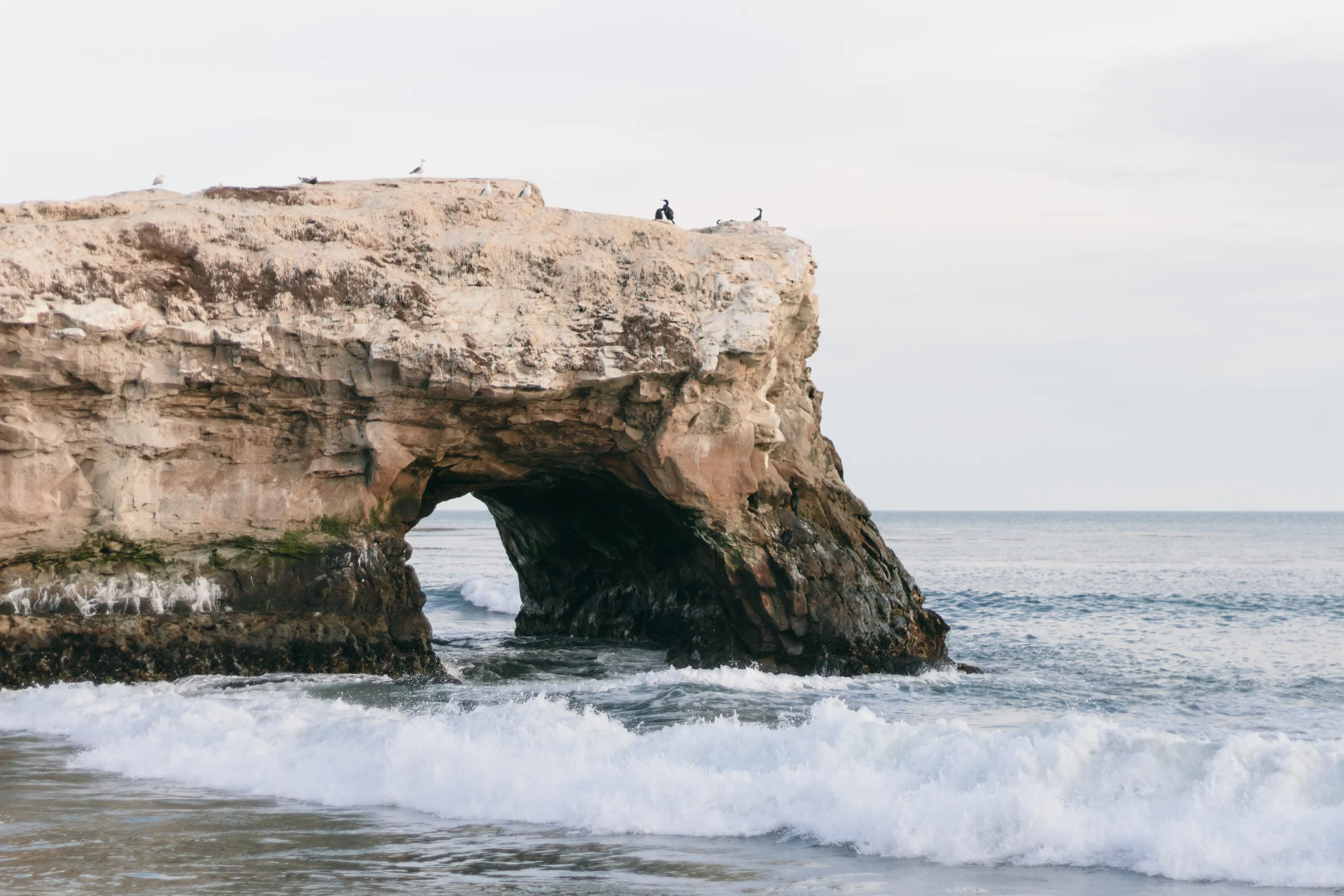 Natural Bridges State Beach by Catherine Alyce
