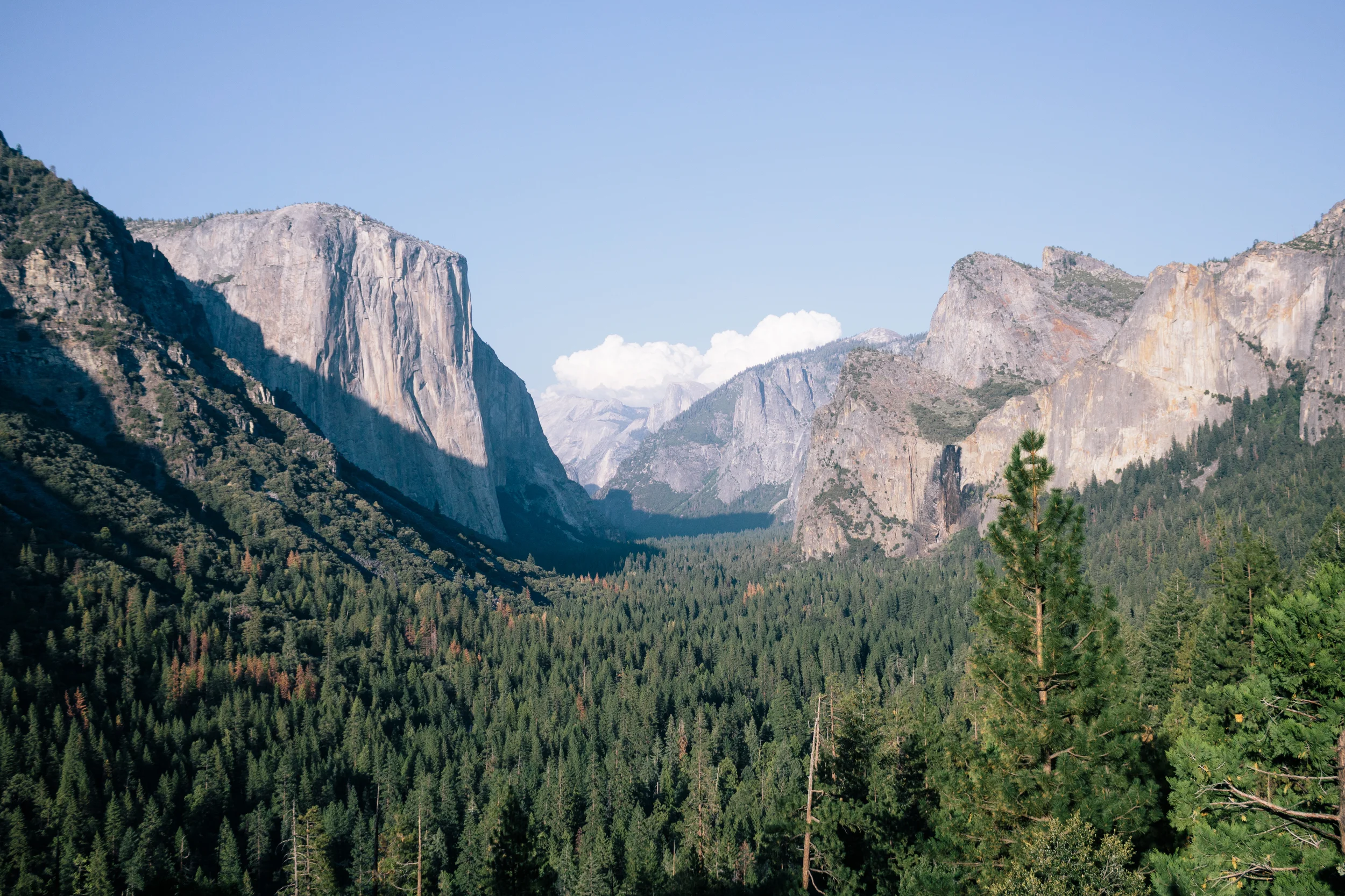 Yosemite Valley by Catherine Alyce