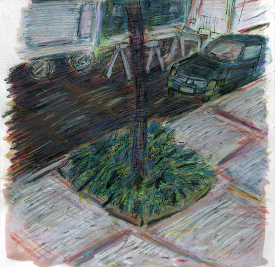 tree and car-web.jpg
