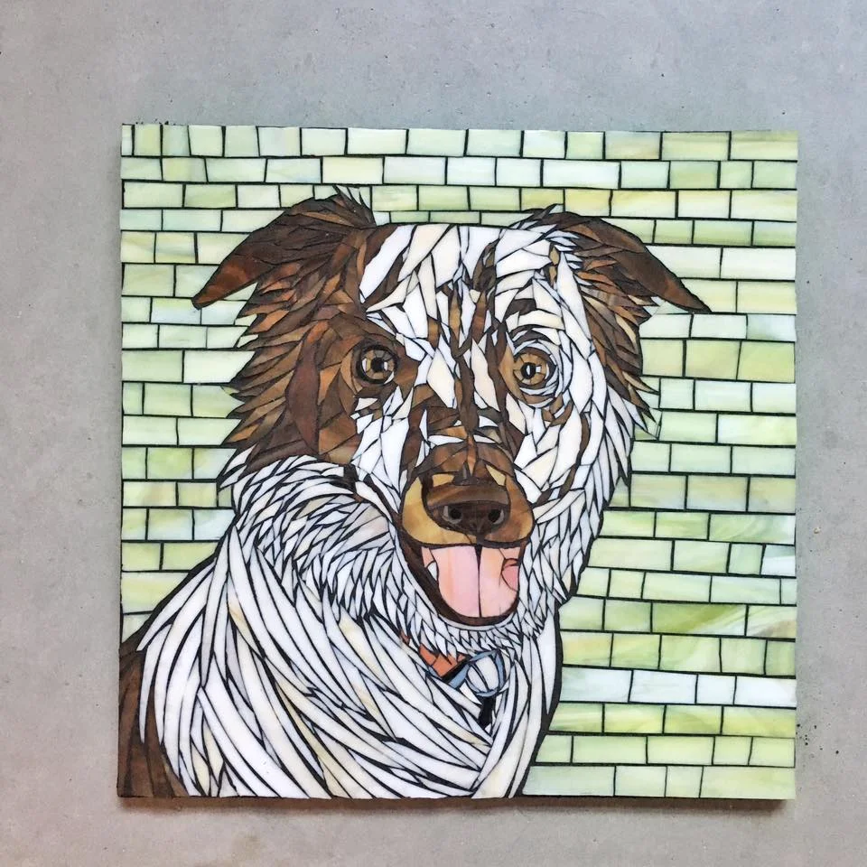 dog.jpg