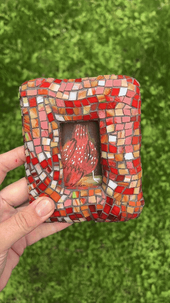 Adobe Express - IMG_6522.gif