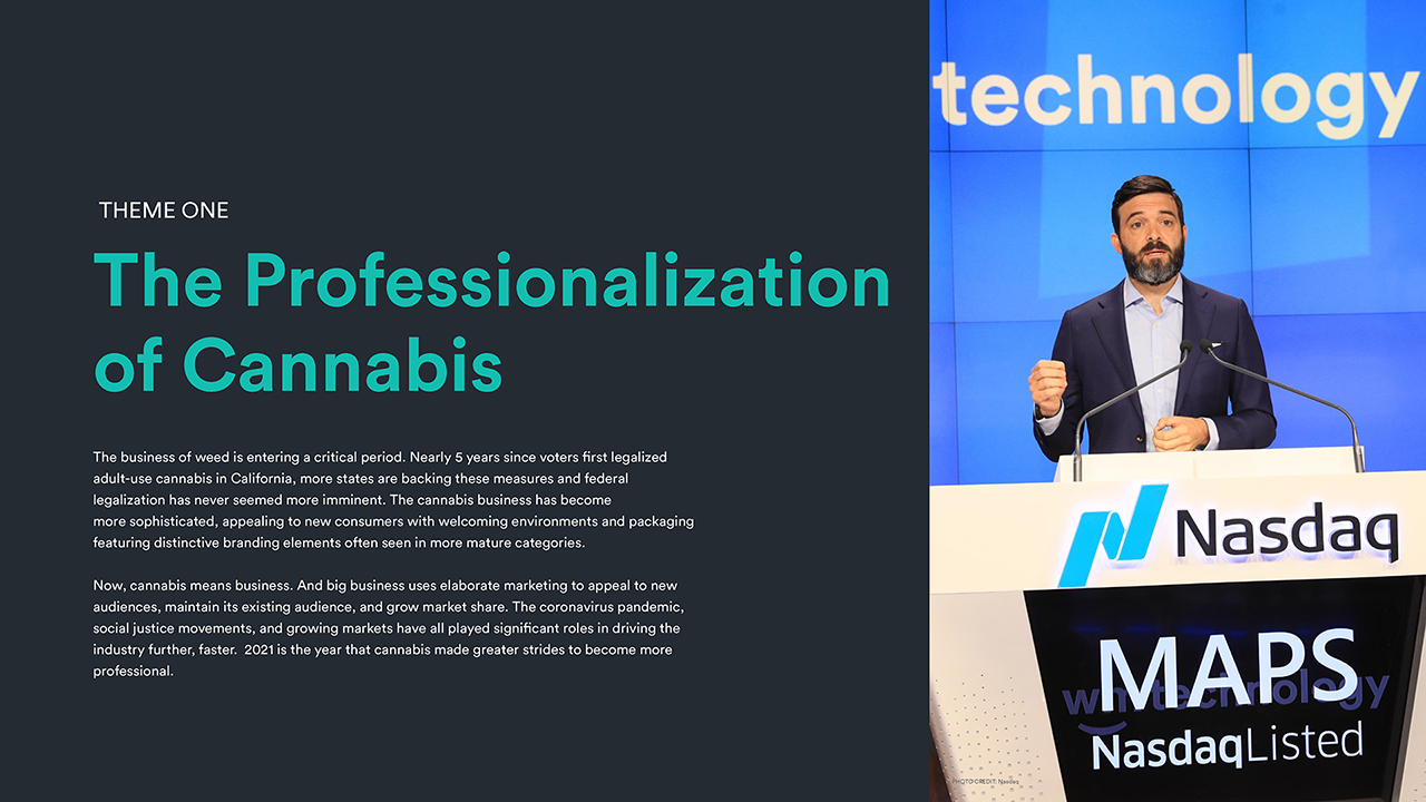 Weedmaps 2021 Cannabis in America 11_12 for WM IR site DOWNLOAD_Page_06.png
