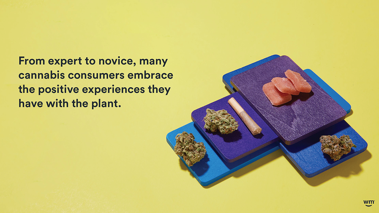 Weedmaps 2021 Cannabis in America 11_12 for WM IR site DOWNLOAD_Page_45.png