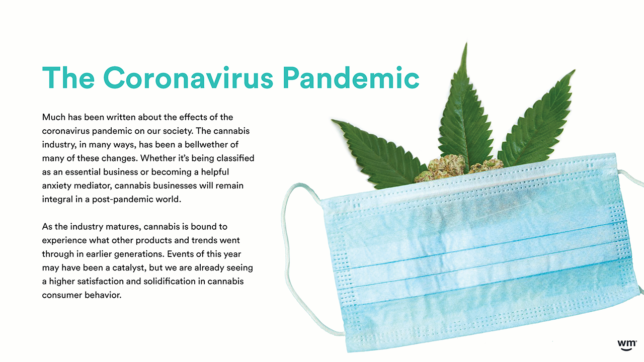 Weedmaps 2021 Cannabis in America 11_12 for WM IR site DOWNLOAD_Page_08.png