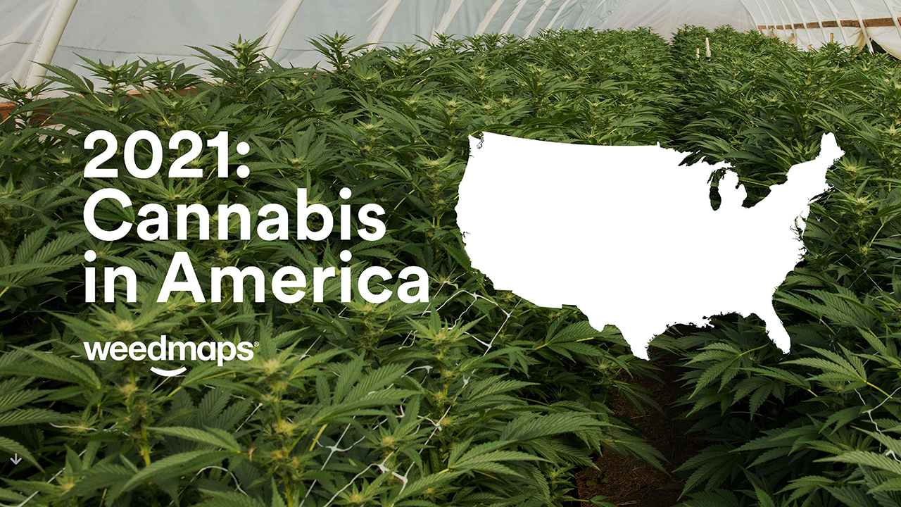 Weedmaps 2021 Cannabis in America 11_12 for WM IR site DOWNLOAD_Page_01.png