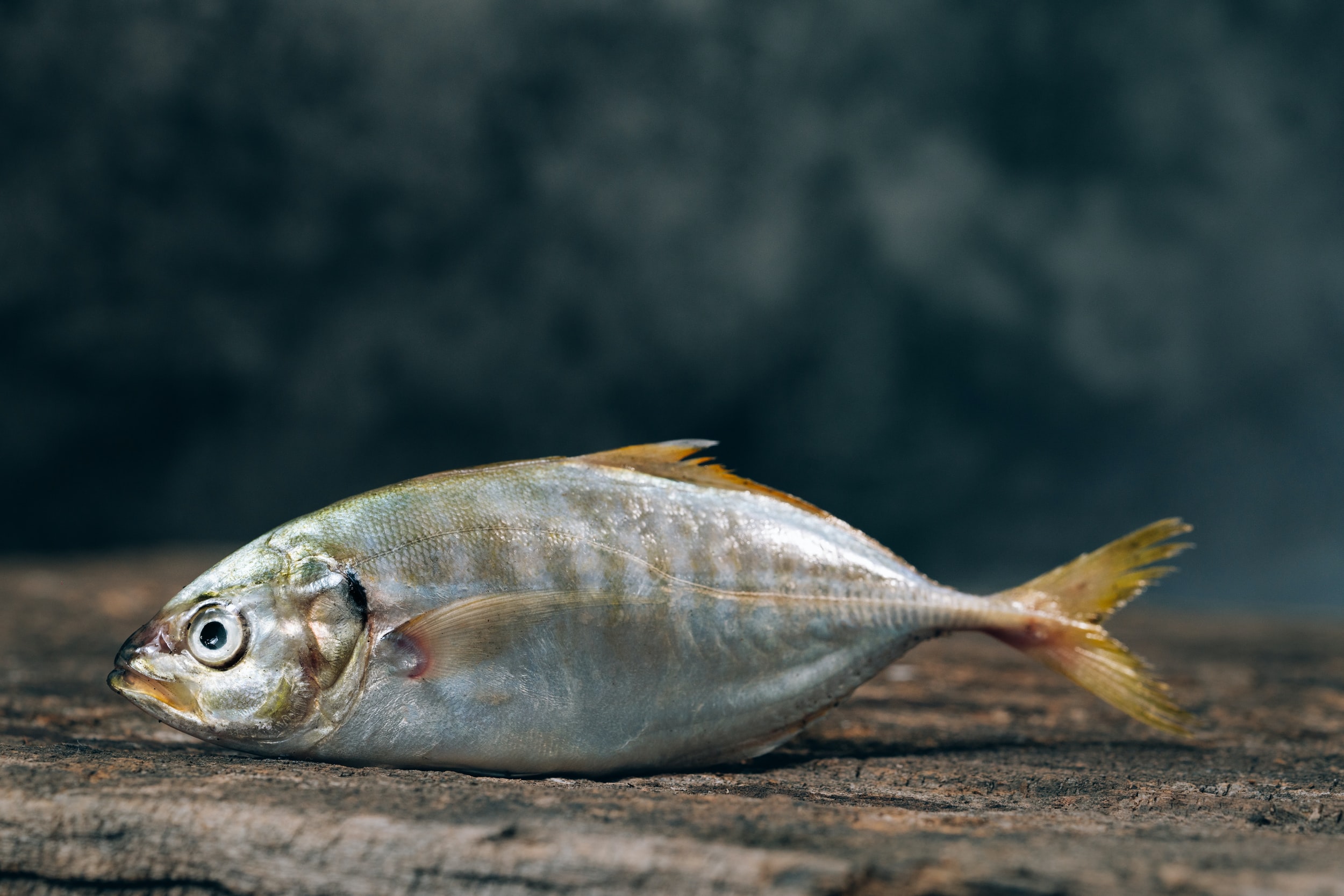 Consent Phishing – New Pole, Same Fish