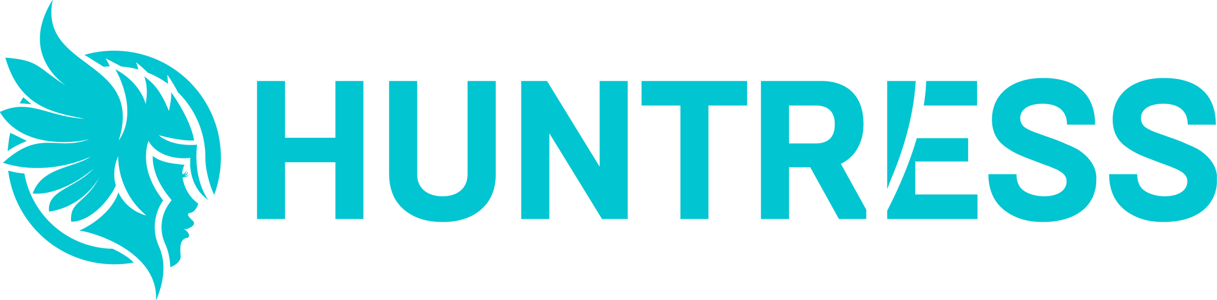 Huntress Logo - Wide Teal.png