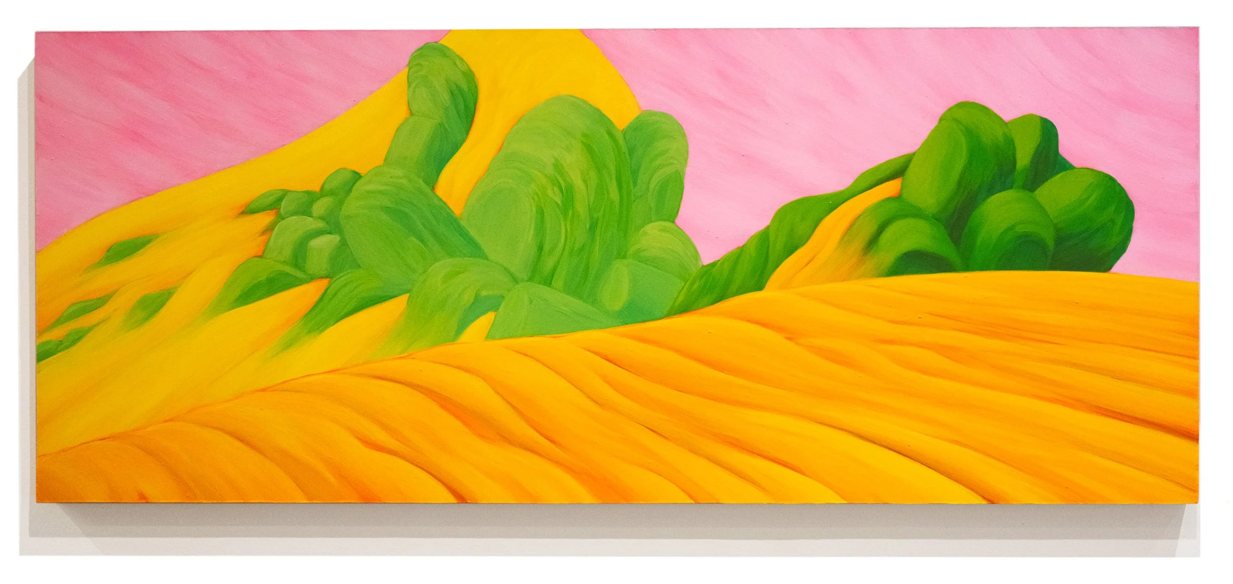 Hail Columbia ( Ravenous , 00:28:22) 24”x58”, acrylic on panel, 2024